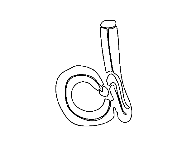 Dibujo de D minúscula para Colorear - Dibujos.net