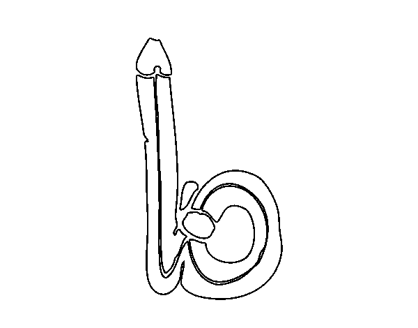 Dibujo de B minúscula para Colorear - Dibujos.net