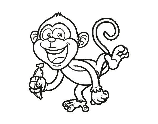 Dibujo de Mono capuchino para Colorear - Dibujos.net Dibujo de Mono capuchino para Colorear - Dibujos.net