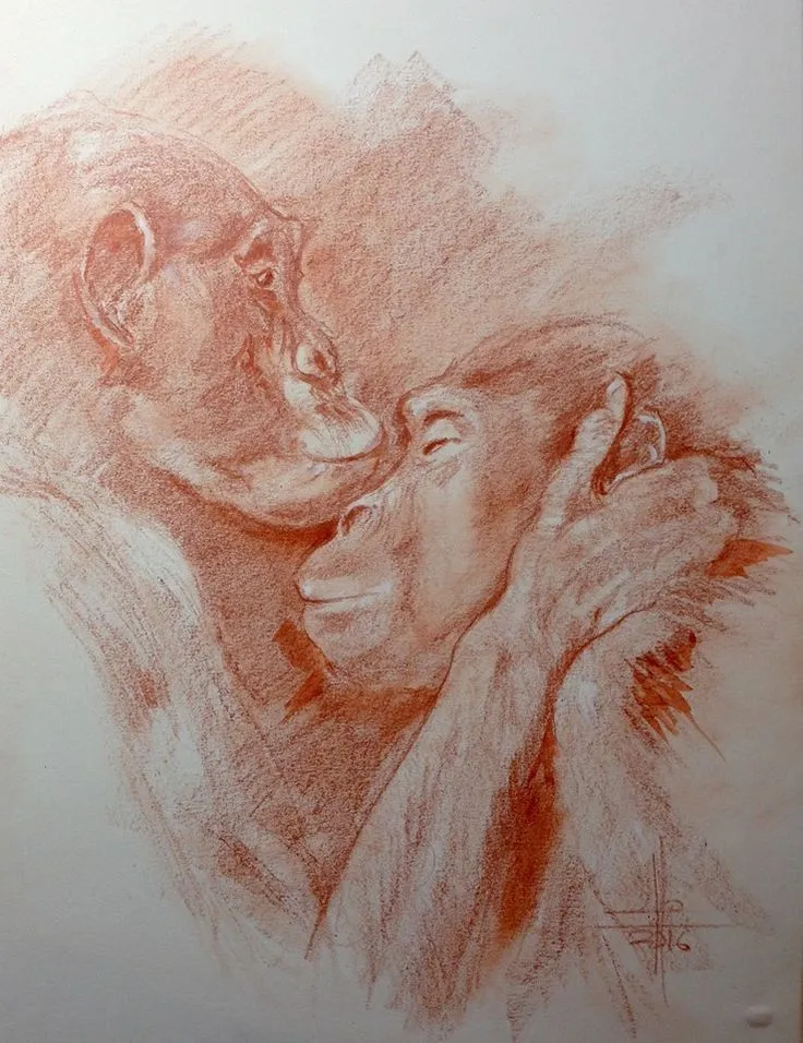 Dibujo de dos monos besándose a sanguina | Dibujos realistas, Dibujos de animales, Dibujos Dibujo de dos monos besándose a sanguina | Dibujos realistas, Dibujos de animales, Dibujos