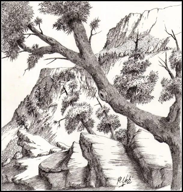 dibujo | MONTAÑAS DE TINTA de Manuel Velis