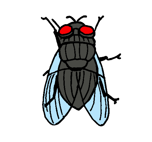 Dibujo de Mosca negra pintado por Joseverano en Dibujos.net el día ... Dibujo de Mosca negra pintado por Joseverano en Dibujos.net el día ...