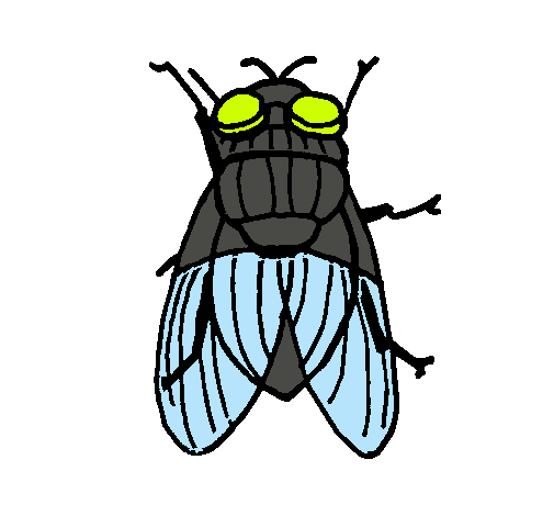 Dibujo de Mosca negra pintado por Mosca en Dibujos.net el día 25 ... Dibujo de Mosca negra pintado por Mosca en Dibujos.net el día 25 ...