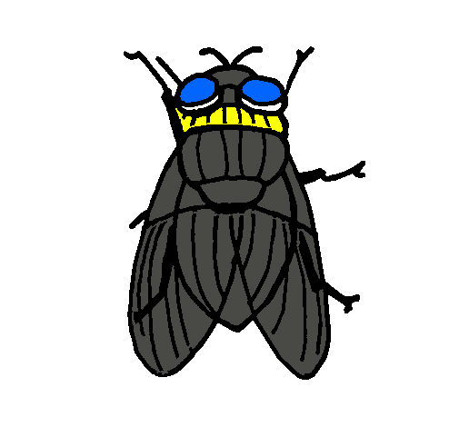 Dibujo de Mosca negra pintado por Mosca en Dibujos.net el día 15 ...