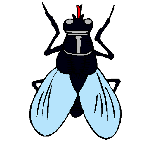 Dibujo de Mosca pintado por Dianasara en Dibujos.net el día 13-11 ... Dibujo de Mosca pintado por Dianasara en Dibujos.net el día 13-11 ...