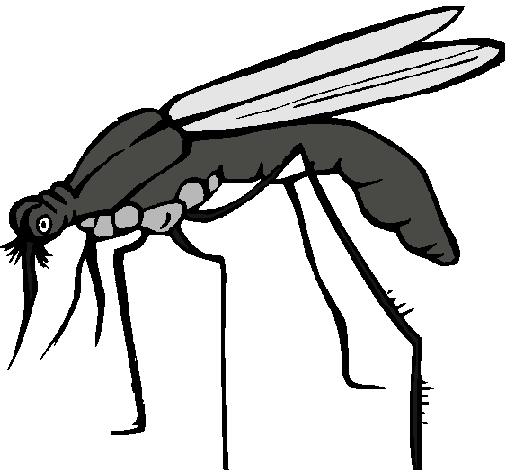 Dibujo de Mosquito pintado por Annyttta en Dibujos.net el día 21 ... Dibujo de Mosquito pintado por Annyttta en Dibujos.net el día 21 ...