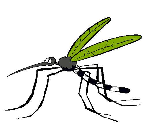 Zancudo del dengue dibujo para colorear - Imagui