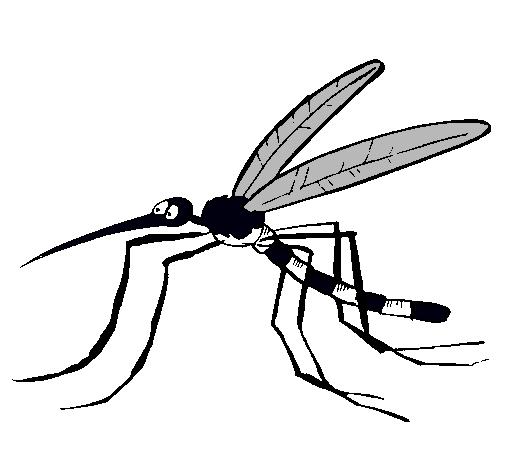 Dibujo de Mosquito pintado por Hoctavio en Dibujos.net el día 21 ... Dibujo de Mosquito pintado por Hoctavio en Dibujos.net el día 21 ...