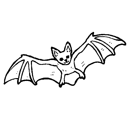 Dibujo de Murciélago volando para Colorear - Dibujos.net Dibujo de Murciélago volando para Colorear - Dibujos.net