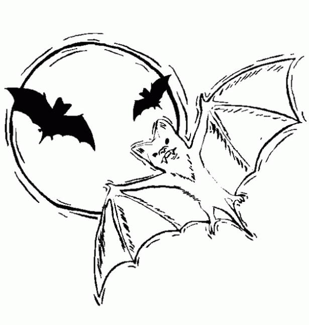 Dibujo de Murciélagos. Dibujo para colorear de Murciélagos ... Dibujo de Murciélagos. Dibujo para colorear de Murciélagos ...