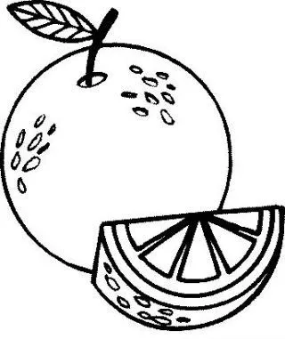 Dibujos para colorear de naranjas - Imagui