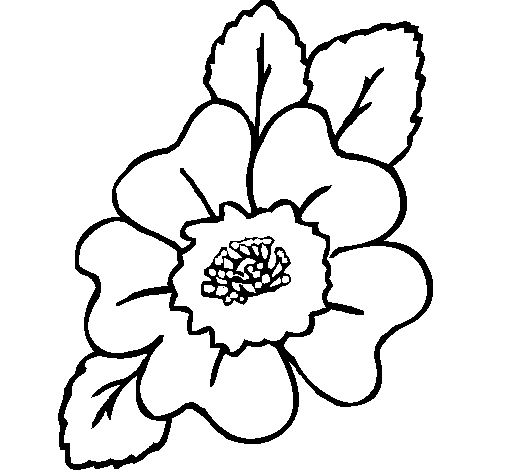 Dibujo de Narciso para Colorear - Dibujos.net Dibujo de Narciso para Colorear - Dibujos.net