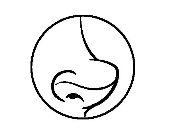 Dibujo de Nariz para Colorear - Dibujos.net Dibujo de Nariz para Colorear - Dibujos.net
