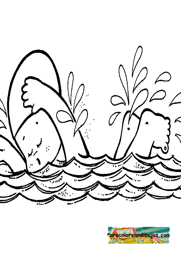 Dibujo de natacion para colorear | Colorear dibujos