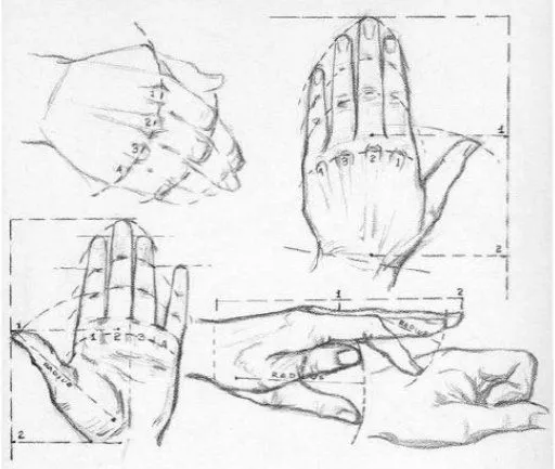 Dibujo de la mano - Imagui
