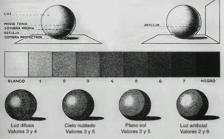 Dibujo al natural: El claroscuro y el valor