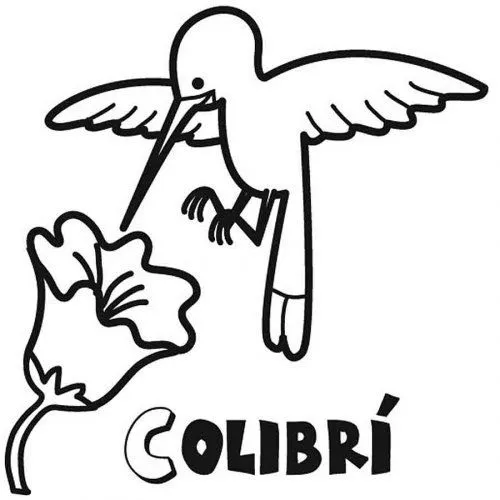 Dibujo para niños de colibrí - Dibujos para colorear de animales ...