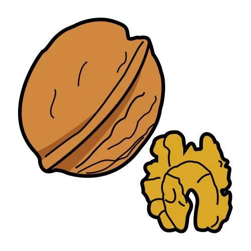DIBUJOS DE NUECES - Imagui