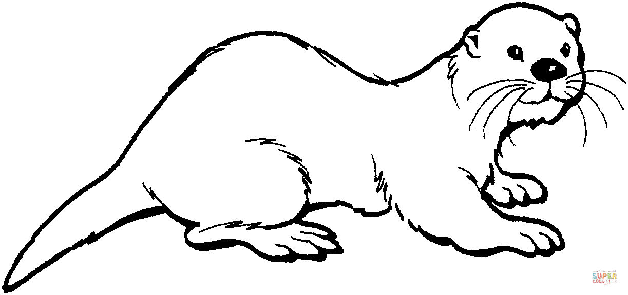 Dibujo de Una Nutria Explorando para colorear | Dibujos para ... Dibujo de Una Nutria Explorando para colorear | Dibujos para ...