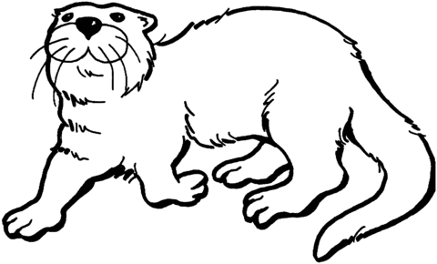 Dibujo de Una Nutria Feliz para colorear | Dibujos para colorear ... Dibujo de Una Nutria Feliz para colorear | Dibujos para colorear ...