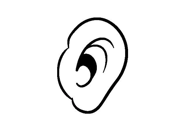 Dibujo de Oreja humana para Colorear - Dibujos.net Dibujo de Oreja humana para Colorear - Dibujos.net
