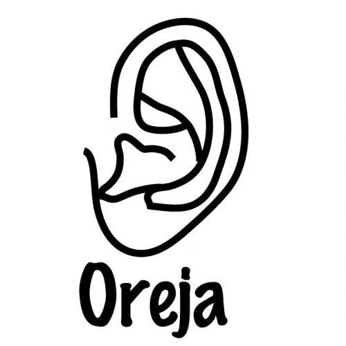 Dibujo de una oreja para imprimir y pintar - Dibujos para colorear ... Dibujo de una oreja para imprimir y pintar - Dibujos para colorear ...