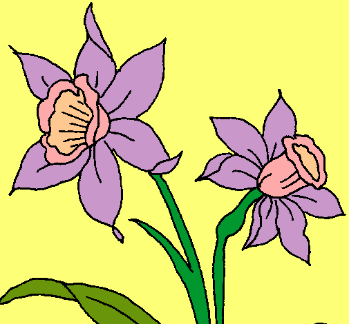 Dibujo de Orquídea pintado por Jjjjjjjjjjjjjjj en Dibujos.net el ...