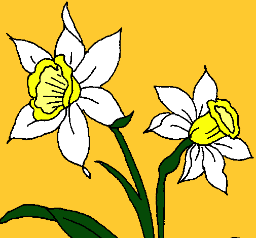 Dibujo de Orquídea pintado por Luchiboom en Dibujos.net el día 17 ...