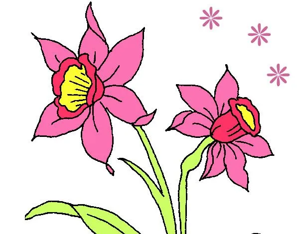 Dibujo de Orquídea pintado por Nataly97 en Dibujos.net el día 26 ...