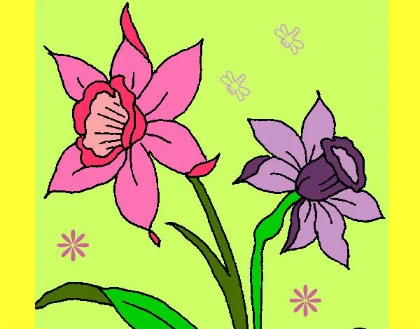 Dibujo de Orquídea pintado por Pepitayo5 en Dibujos.net el día 07 ... Dibujo de Orquídea pintado por Pepitayo5 en Dibujos.net el día 07 ...
