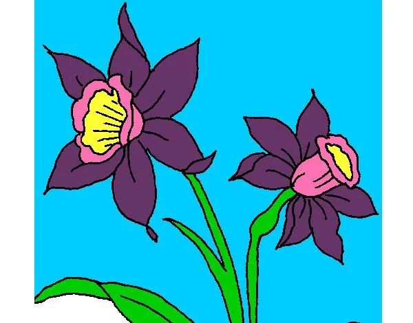 Dibujo de Orquídea pintado por Porchaco10 en Dibujos.net el día 26 ...
