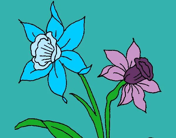 Dibujo de orquideas pintado por Claudia422 en Dibujos.net el día ... Dibujo de orquideas pintado por Claudia422 en Dibujos.net el día ...