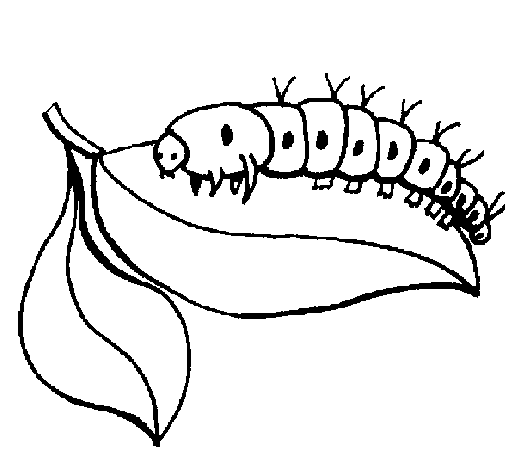 Dibujo de Oruga para Colorear - Dibujos.net Dibujo de Oruga para Colorear - Dibujos.net
