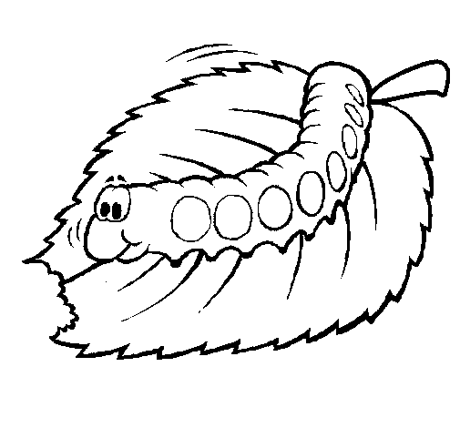 Dibujo cuncuna para colorear - Imagui