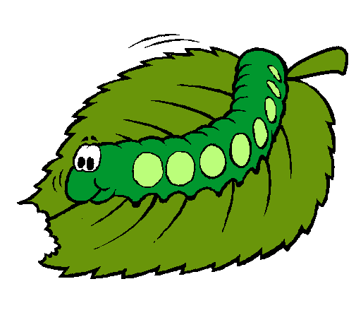 Dibujo de Oruga comiendo pintado por Ali en Dibujos.net el día 28 ... Dibujo de Oruga comiendo pintado por Ali en Dibujos.net el día 28 ...