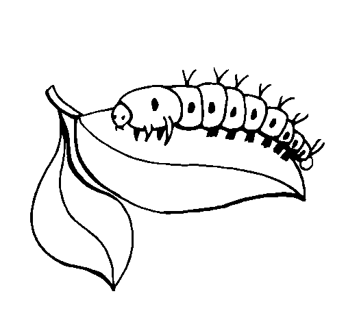 Dibujo de Oruga en una hoja para Colorear - Dibujos.net Dibujo de Oruga en una hoja para Colorear - Dibujos.net