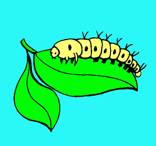 Dibujo de Oruga en una hoja pintado por Cuncuna en Dibujos.net el ... Dibujo de Oruga en una hoja pintado por Cuncuna en Dibujos.net el ...
