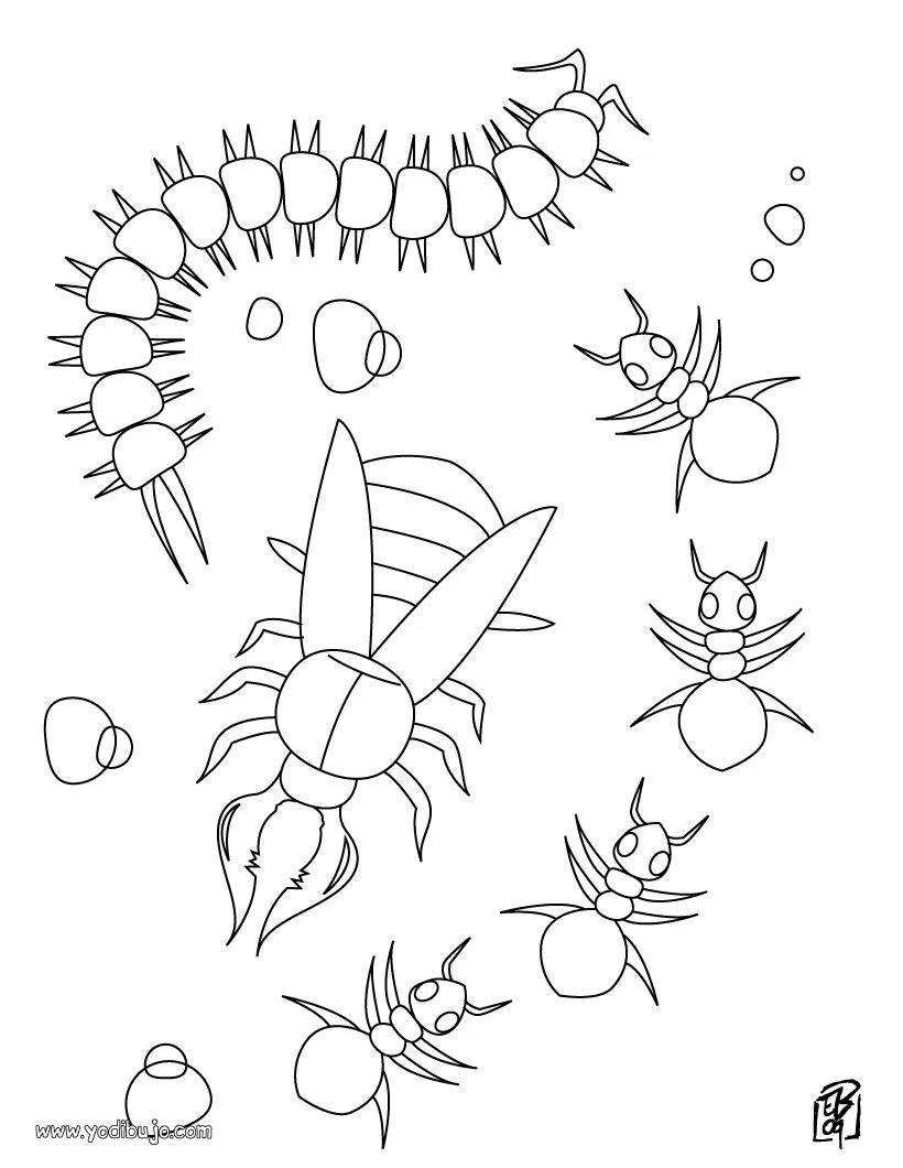 Dibujo oruga, hormigas y tijereta - Dibujos para colorear HORMIGA Dibujo oruga, hormigas y tijereta - Dibujos para colorear HORMIGA