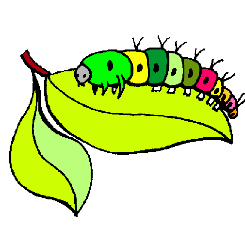 Dibujo de Oruga pintado por Papalote en Dibujos.net el día 14-08 ... Dibujo de Oruga pintado por Papalote en Dibujos.net el día 14-08 ...
