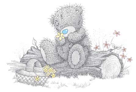 Dibujo osito teddy - Imagui