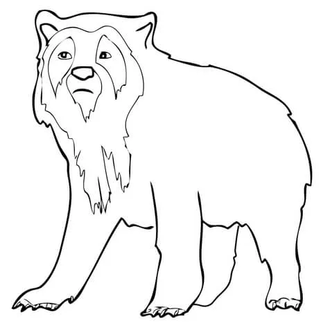 Dibujo de Oso de Anteojos para colorear | Dibujos para colorear ...