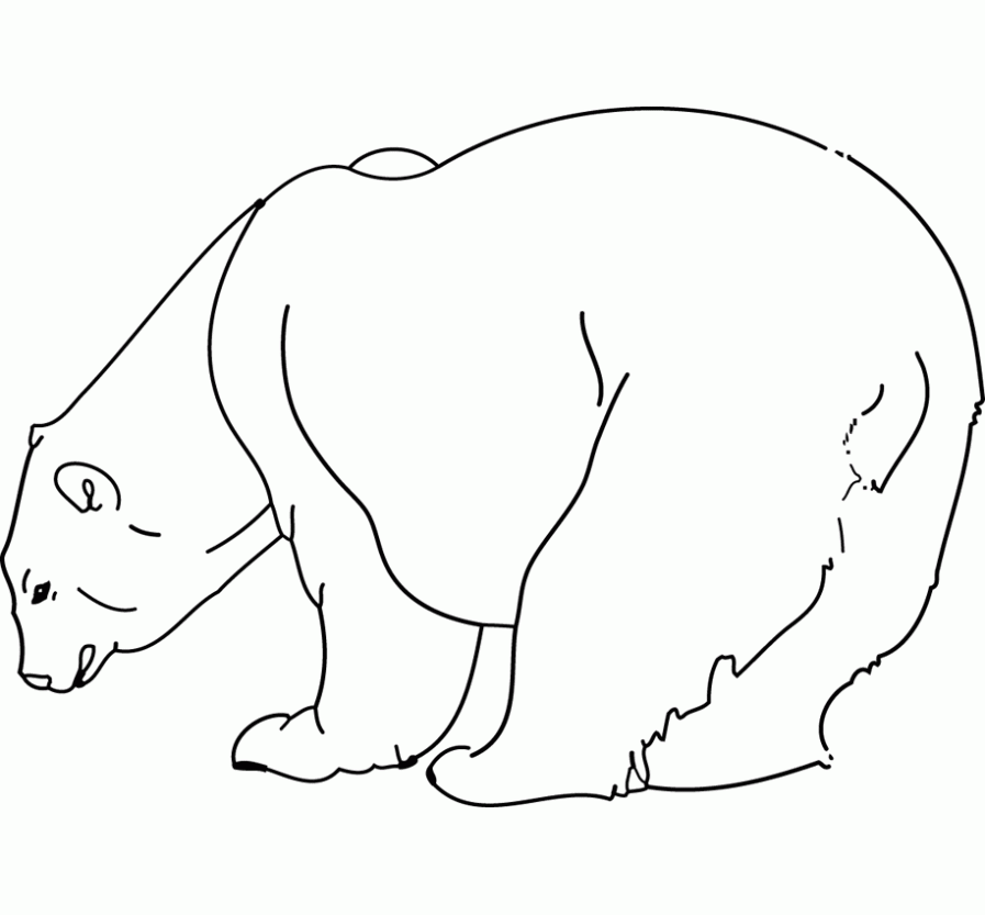 Dibujo de Oso para colorear. Dibujos infantiles de Oso. Colorear Osos. Dibujo de Oso para colorear. Dibujos infantiles de Oso. Colorear Osos.