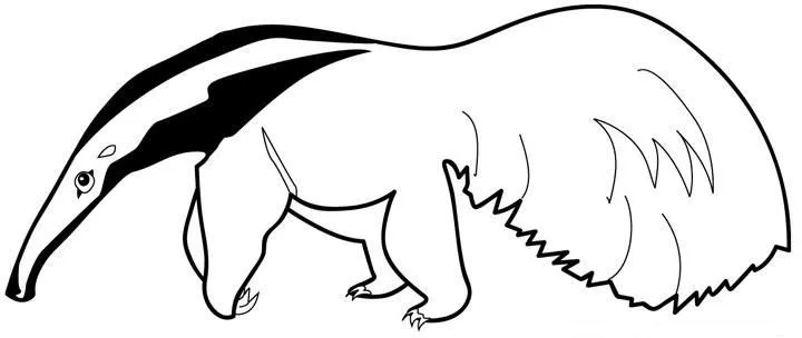 Dibujo de oso frontino para colorear - Imagui