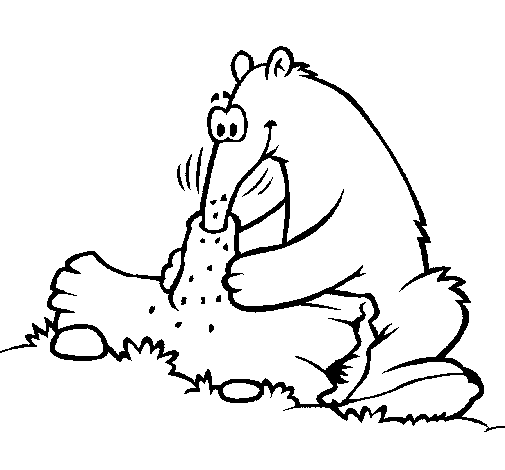 Dibujo de Oso hormiguero comiendo para Colorear - Dibujos.net