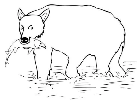 Dibujo de El Oso Pardo Cazó un Salmón para colorear | Dibujos para ... Dibujo de El Oso Pardo Cazó un Salmón para colorear | Dibujos para ...