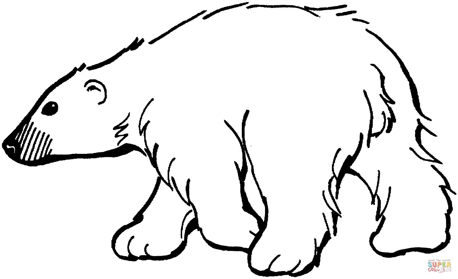 Dibujo de Oso Polar Caminando hacia la Izquierda para colorear ...