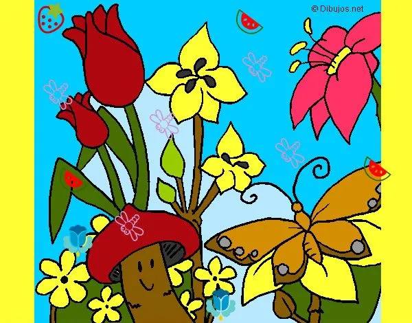 Dibujo de la fauna yla flora - Imagui