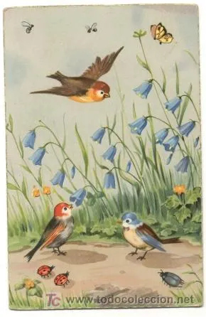 Pajaritos dibujos - Imagui