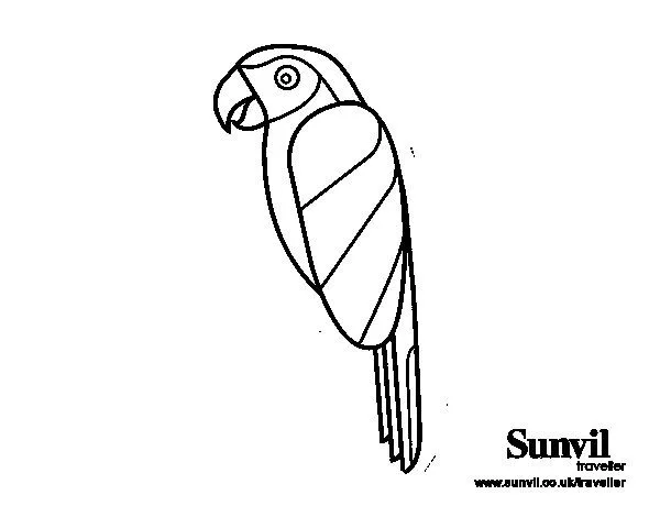 Dibujo de Pájaro Guacamayo para Colorear - Dibujos.net Dibujo de Pájaro Guacamayo para Colorear - Dibujos.net