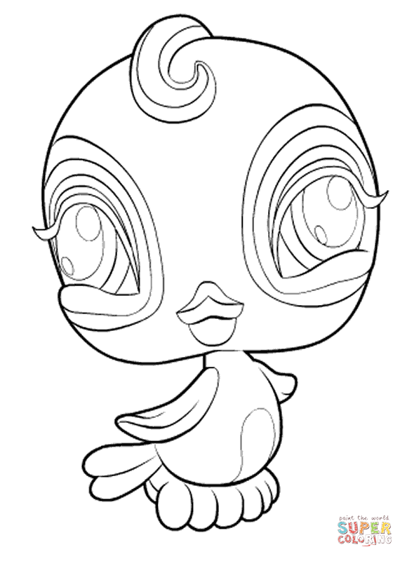 Dibujo de Pájaro Pet Shop para colorear | Dibujos para colorear ... Dibujo de Pájaro Pet Shop para colorear | Dibujos para colorear ...